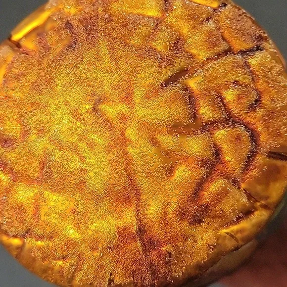 Christopher Radko Handcrafted Nativity Scene Ornament - - Picture 5 of 5